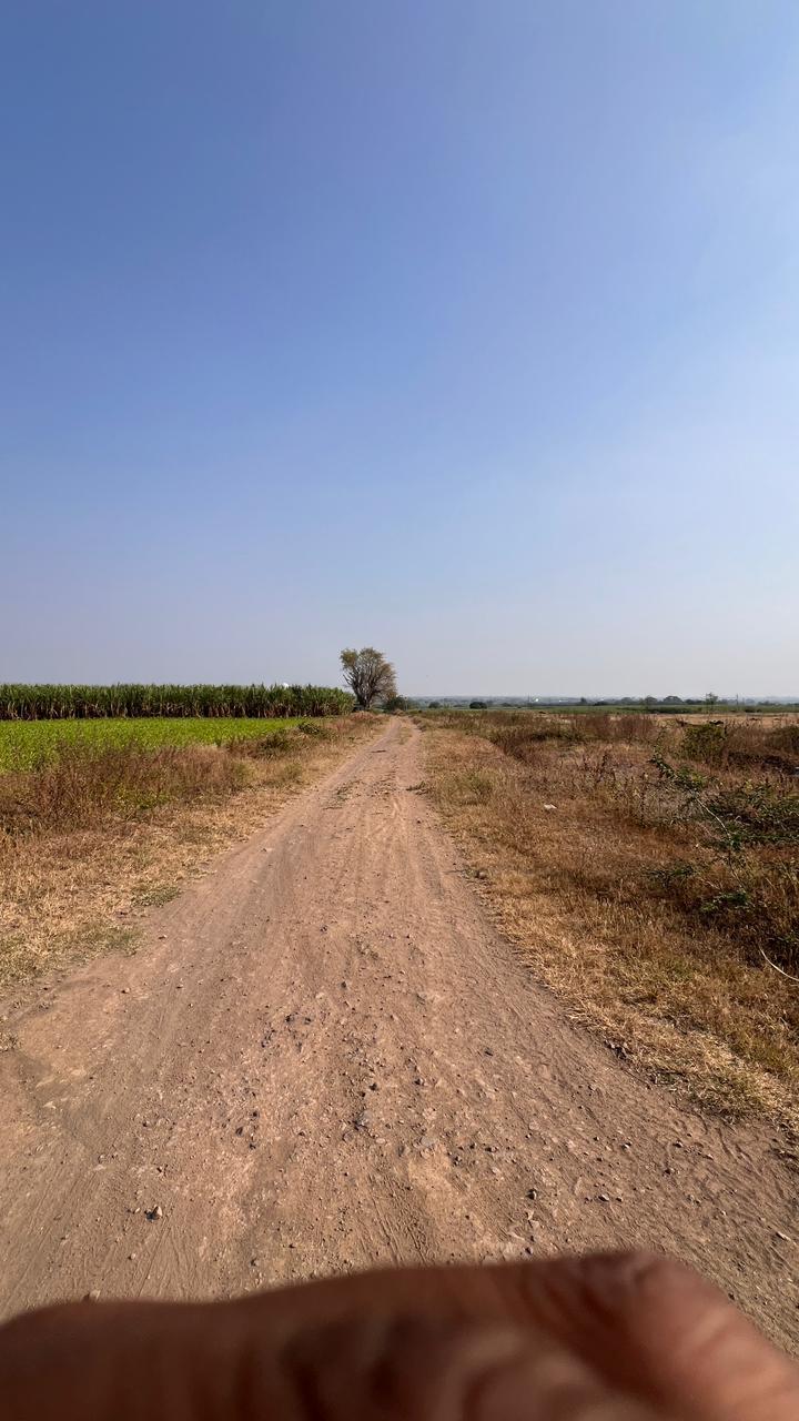 पक्के शेतरस्ते